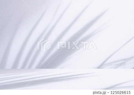 White table with palm tree shadow drop on white wall background for mockup product display White table with palm tree shadow drop on white wall background for mockup product display 125026615