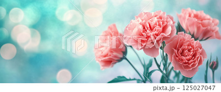 母の日　カーネーションの背景素材 125027047
