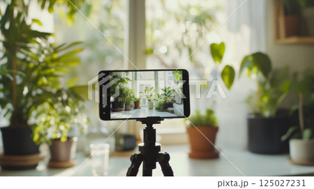 Smartphone on Tripod Capturing Indoor Green Plants in Natural Light 125027231