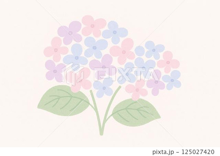 紫陽花イラスト 紫陽花イラスト 125027420
