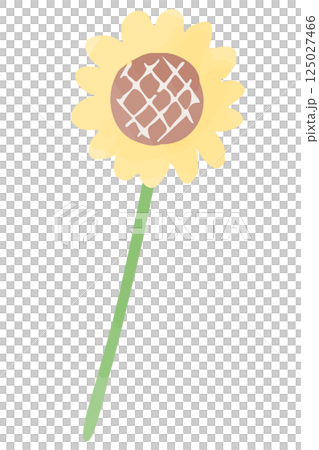 一朵向日葵的插圖-手繪水彩插圖 125027466