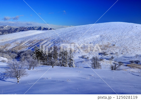 車山湿原の霧氷 車山湿原の霧氷 125028119