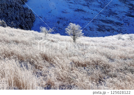 厳冬の霧ヶ峰 125028122