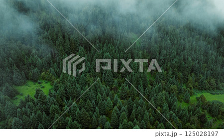 Aerial view of forest and grassland landscape in fog and rain Aerial view of forest and grassland landscape in fog and rain 125028197