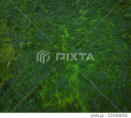 Aerial view of forest and grassland landscape in fog and rain 125028201