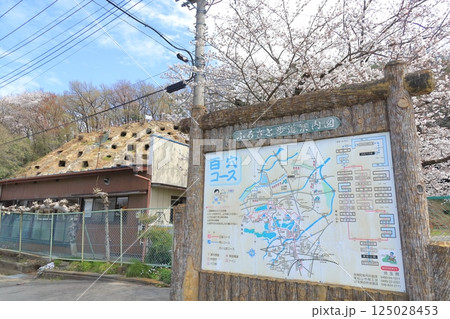 吉見百穴 埼玉県 吉見百穴 埼玉県 125028453