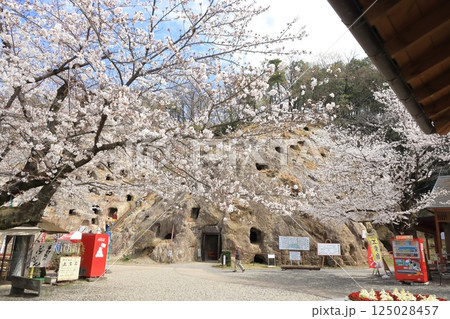 吉見百穴　埼玉県 125028457