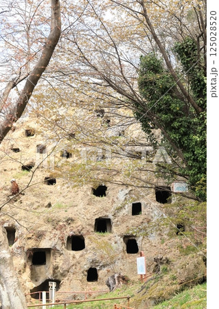 吉見百穴 埼玉県 吉見百穴 埼玉県 125028520