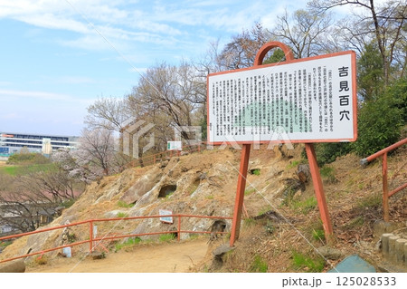 吉見百穴　埼玉県 125028533