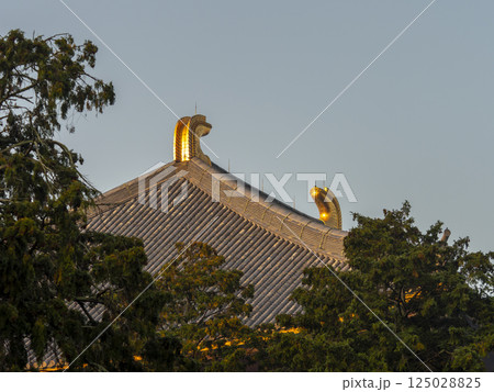光り輝く東大寺大仏殿の鴟尾 125028825