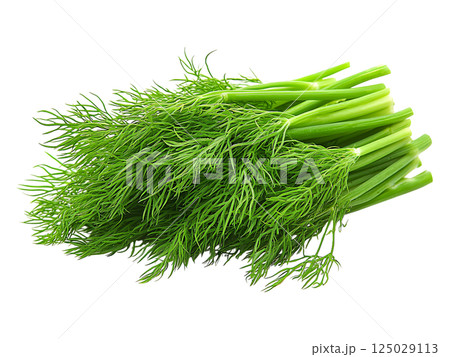 Vibrant bunch of fresh dill, showcasing its bright green hue and delicate feathery texture.  Perfect for culinary, health, or springthemed projects. 125029113