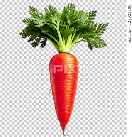 Vibrant single carrot with lush green top, shot against a clean white background.  Perfect for food blogs, cookbooks, or healthy eating campaigns. 125029286