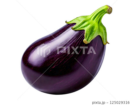 Studio shot of a single, vibrant eggplant, showcasing its deep purple hue and smooth skin.  Perfect for culinary websites, recipe blogs, or any project needing a fresh, healthy food image. 125029316
