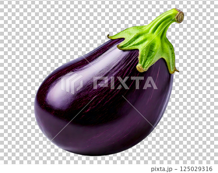 Studio shot of a single, vibrant eggplant, showcasing its deep purple hue and smooth skin.  Perfect for culinary websites, recipe blogs, or any project needing a fresh, healthy food image. 125029316