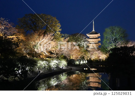 東寺 夜間拝観 東寺 夜間拝観 125029831