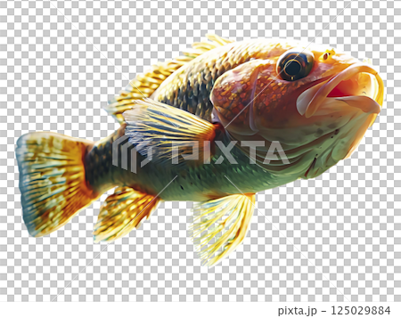 Vibrant orange fish swims in sunlit aquarium.  Stunning underwater scene, perfect for nature, wildlife, or aquatic themes.  Use for websites, brochures, or magazine layouts. 125029884