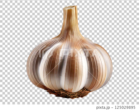 Single bulb of garlic, close-up studio shot on white background.  Intricate detail showcases its texture and natural beauty. Ideal for culinary, health, or agricultural contexts. 125029895