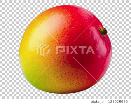 Vibrant single mango, showcasing its rich red, yellow, and green hues.  Perfect for food blogs, recipe websites, or healthy eating campaigns. High-resolution image with a clean white background. 125029956