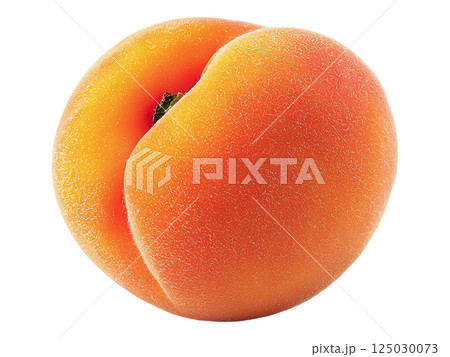 A single, ripe apricot sits against a stark white background. A single, ripe apricot sits against a stark white background. 125030073