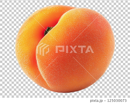A single, ripe apricot sits against a stark white background. A single, ripe apricot sits against a stark white background. 125030073
