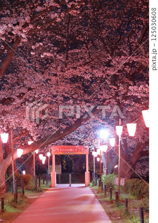 幸手権現堂桜堤～桜祭り 125030608