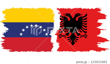 Albania and Venezuela grunge flags connection vector Albania and Venezuela grunge flags connection vector 125031665