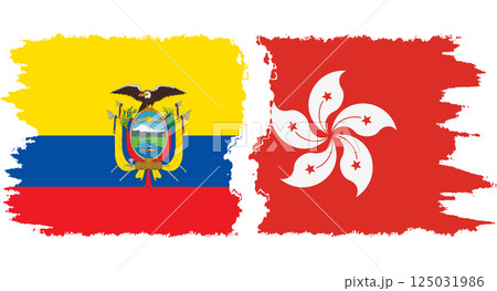 Hong Kong and Ecuador grunge flags connection vector 125031986