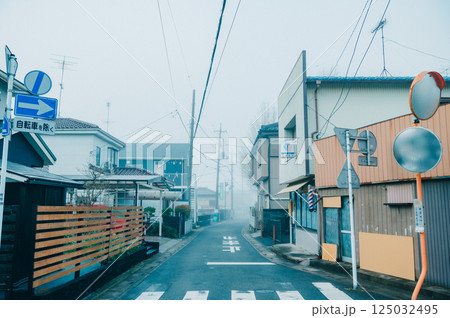 朝霧の街並み　幸手市 125032495