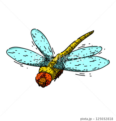 flight dragonfly sketch hand drawn vector 125032818
