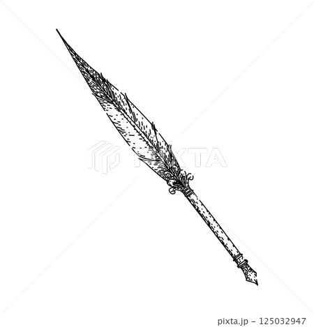 feather quill pen sketch hand drawn vector 125032947