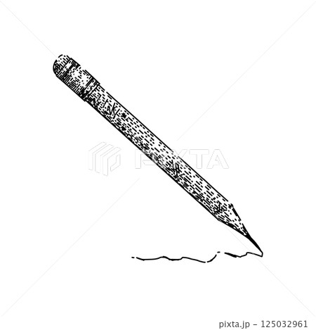 lead pencil sketch hand drawn vector 125032961