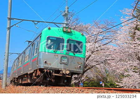 満開の桜が咲き誇る春爛漫の上毛線 満開の桜が咲き誇る春爛漫の上毛線 125033234
