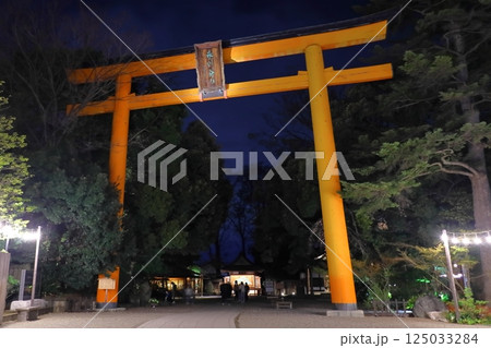 川越氷川神社 125033284