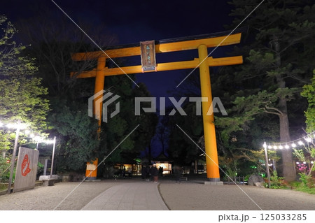 川越氷川神社 川越氷川神社 125033285