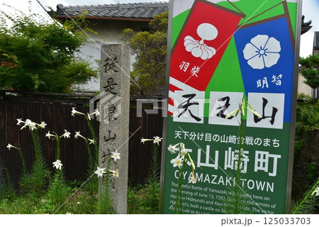 従是東山城国　道標                   従是東山城国, 霧島躑躅, 霧島ツツジ, キ 125033703