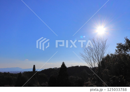 青空　太陽　森林 125033788