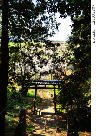 埼玉県鴻巣市滝馬室の氷川神社 埼玉県鴻巣市滝馬室の氷川神社 125033887