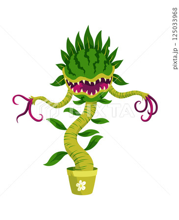 Carnivorous plant in fantasy design. Cartoon flytrap in pot, plant monster. Vector flower predator with teeth isolated on white background Carnivorous plant in fantasy design. Cartoon flytrap in pot, plant monster. Vector flower predator with teeth isolated on white background 125033968