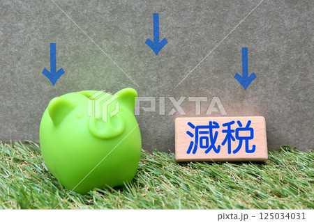 減税に関するイメージ 豚の貯金箱 減税に関するイメージ 豚の貯金箱 125034031