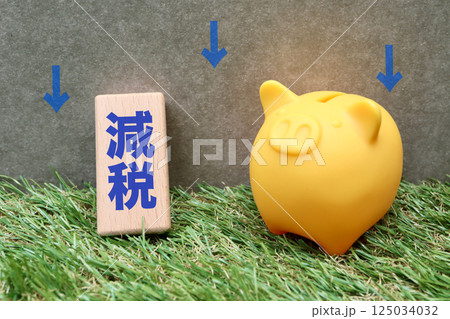 減税に関するイメージ　豚の貯金箱 125034032