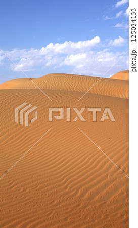 Wind-sculpted dunes rise under soft clouds as golden ridges ripple toward horizon, shaped by desert wind into graceful symmetry, pure silence surrounds iconic tourist attraction. 125034133