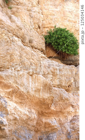 Massive stone blocks appear shattered yet aligned, horizontal layers arching gently like petrified dunes. Small cave hints at weathered refuge. Living record of desert transformation. Massive stone blocks appear shattered yet aligned, horizontal layers arching gently like petrified dunes. Small cave hints at weathered refuge. Living record of desert transformation. 125034146