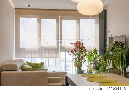 Automatic sunshades in apartment. Automatic sunshades in apartment. 125034148