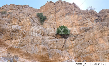 Vertical strata dominate towering rock face, ancient cracks expose millennia of erosion and uplift, attracting tourists interested in rare geological patterns and desert landscape photography. 125034175
