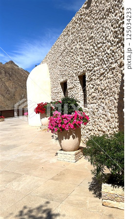Pink flowers blossom brightly along textured stone wall, flowers enhance stone wall with vibrant elegance, creating luxurious garden ambiance in sunny courtyard against clear blue sky visuals. 125034233