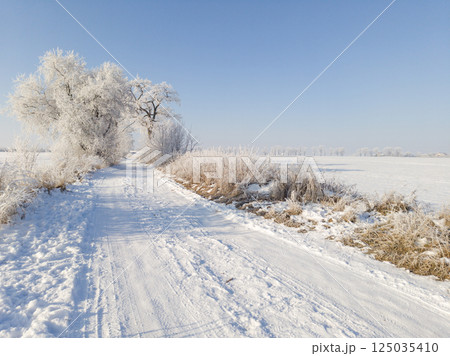 Snow Covered Country Road in Winter Landscape Snow Covered Country Road in Winter Landscape 125035410