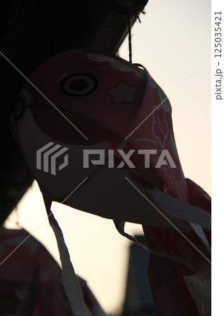 『金魚ちょうちん』白壁の町並み 山口県観光 柳井市 『金魚ちょうちん』白壁の町並み 山口県観光 柳井市 125035421