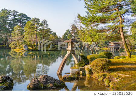 （石川県）春の兼六園 125035520