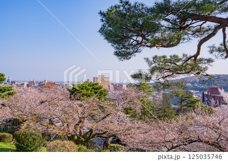 (石川県)桜が咲いた兼六園から見る金沢の街 (石川県)桜が咲いた兼六園から見る金沢の街 125035746