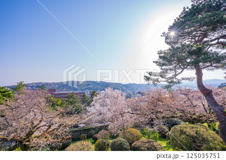 （石川県）桜が咲いた兼六園から見る金沢の街 125035751